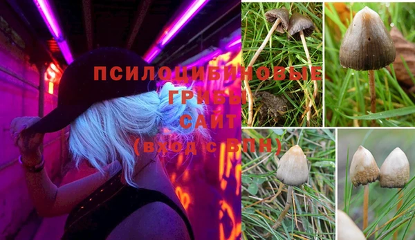 прущий лед Алексеевка