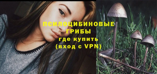 тгк Алексин
