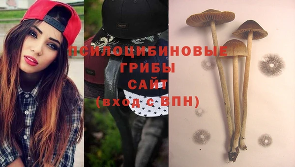 крисы Абинск