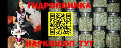 герыч Боровичи
