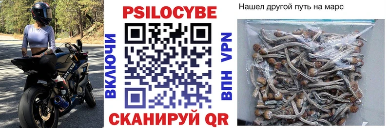 ссылка на мегу рабочий сайт Богородицк Галлюциногенные грибы прущие грибы купить