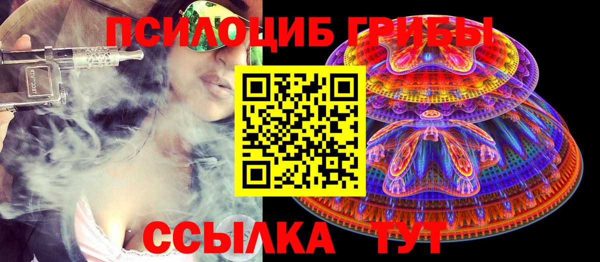 Псилоцибиновые грибы Cubensis  Галлюциногенные грибы мицелий  где найти наркотики  Богородицк  Вход с VPN 