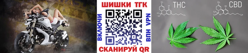 Конопля гибрид Богородицк